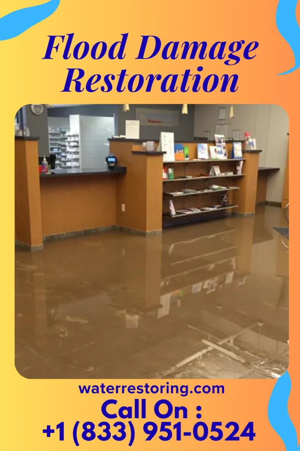Flood Damage Restoration in Dix Hills, NY