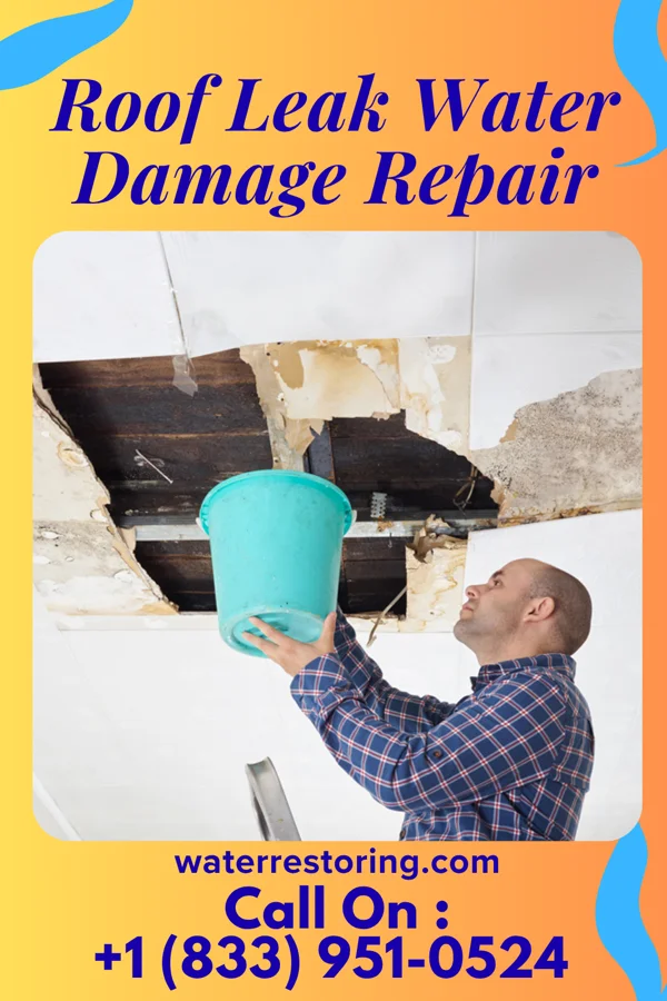 Roof Leak Water Damage Repair in Dix Hills, NY