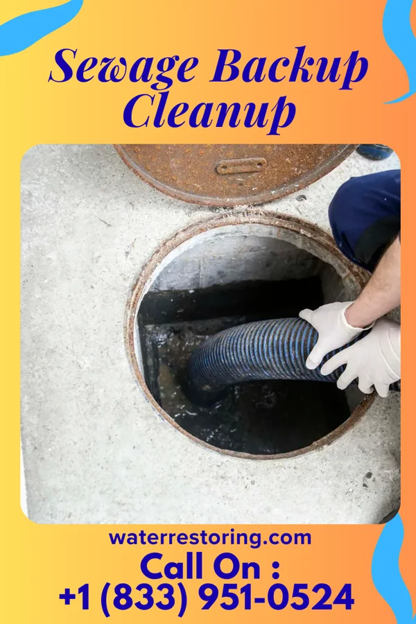 Sewage Backup Cleanup in Dix Hills, NY